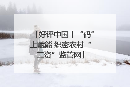 好评中国丨“码”上赋能 织密农村“三资”监管网