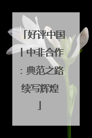 好评中国丨中非合作：典范之路 续写辉煌
