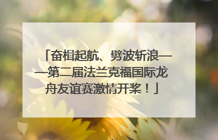 奋楫起航、劈波斩浪——第二届法兰克福国际龙舟友谊赛激情开桨！