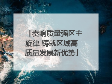 奏响质量强区主旋律 铸就区域高质量发展新优势
