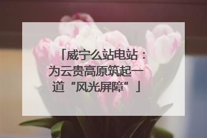 威宁么站电站：为云贵高原筑起一道“风光屏障”