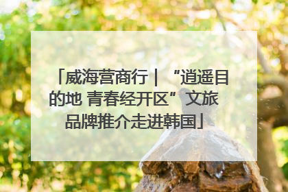威海营商行｜“逍遥目的地 青春经开区”文旅品牌推介走进韩国