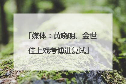 媒体：黄晓明、金世佳上戏考博进复试