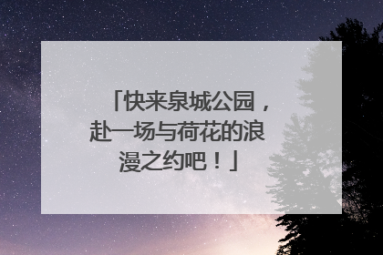 快来泉城公园，赴一场与荷花的浪漫之约吧！