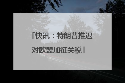 快讯：特朗普推迟对欧盟加征关税