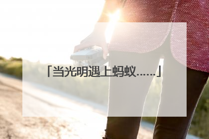 当光明遇上蚂蚁……