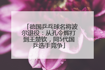 德国乒乓球名将波尔退役：从孔令辉打到王楚钦，同5代国乒选手竞争