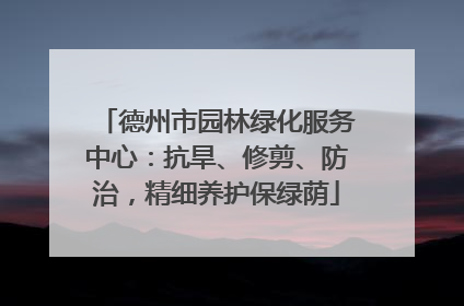 德州市园林绿化服务中心：抗旱、修剪、防治，精细养护保绿荫