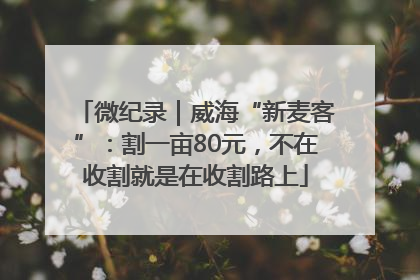 微纪录｜威海“新麦客”：割一亩80元，不在收割就是在收割路上