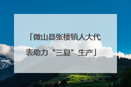 微山县张楼镇人大代表助力“三夏”生产