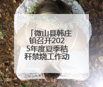 微山县韩庄镇召开2025年度夏季秸秆禁烧工作动员部署会议