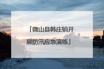 微山县韩庄镇开展防汛应急演练