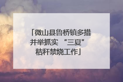 微山县鲁桥镇多措并举抓实 “三夏” 秸秆禁烧工作