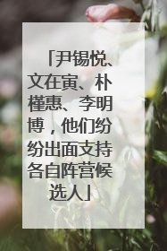尹锡悦、文在寅、朴槿惠、李明博，他们纷纷出面支持各自阵营候选人