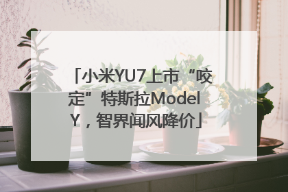 小米YU7上市“咬定”特斯拉Model Y，智界闻风降价