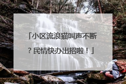 小区流浪猫叫声不断？民情快办出招啦！