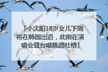 小沈阳18岁女儿下周将在韩国出道，此前在演唱会登台唱跳遭吐槽