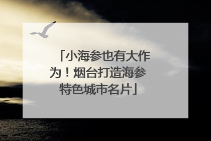 小海参也有大作为！烟台打造海参特色城市名片