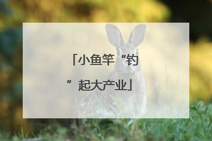 小鱼竿“钓”起大产业