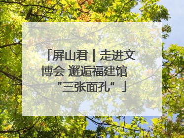 屏山君｜走进文博会 邂逅福建馆“三张面孔”