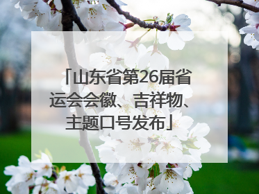 山东省第26届省运会会徽、吉祥物、主题口号发布