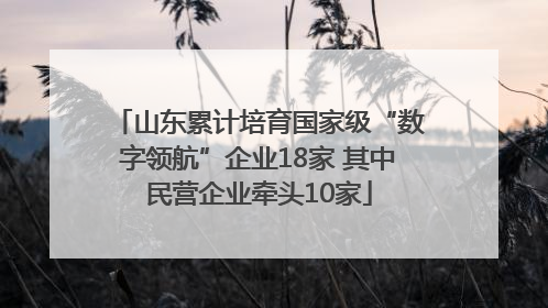 山东累计培育国家级“数字领航”企业18家 其中民营企业牵头10家