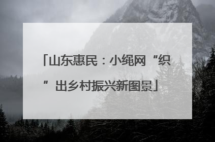 山东惠民：小绳网“织”出乡村振兴新图景