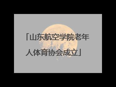 山东航空学院老年人体育协会成立