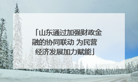 山东通过加强财政金融的协同联动 为民营经济发展加力赋能