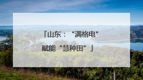 山东：“满格电”赋能“慧种田”