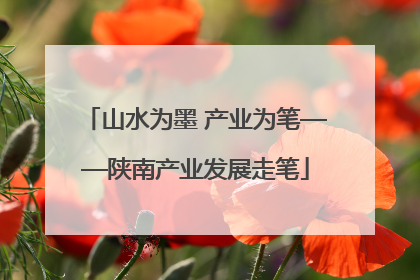山水为墨 产业为笔——陕南产业发展走笔