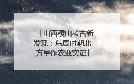山西稷山考古新发现：东周时期北方旱作农业实证