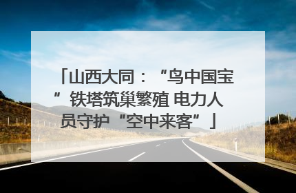 山西大同：“鸟中国宝”铁塔筑巢繁殖 电力人员守护“空中来客”