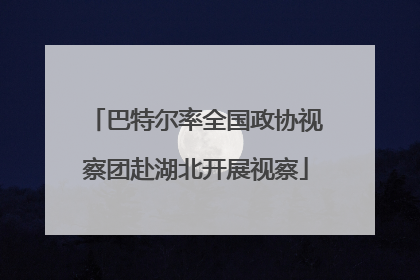 巴特尔率全国政协视察团赴湖北开展视察