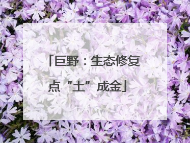 巨野：生态修复点“土”成金