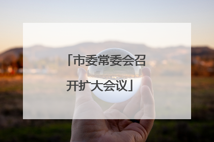 市委常委会召开扩大会议
