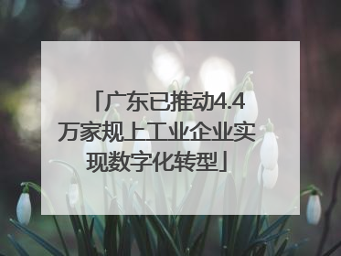 广东已推动4.4万家规上工业企业实现数字化转型
