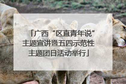 广西“区直青年说”主题宣讲暨五四示范性主题团日活动举行