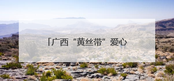 广西“黄丝带”爱心助考公益活动启动 爱心助考20年再升级