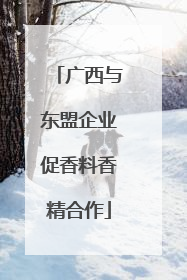 广西与东盟企业促香料香精合作