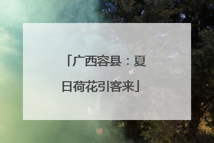 广西容县：夏日荷花引客来