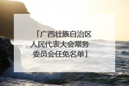广西壮族自治区人民代表大会常务委员会任免名单