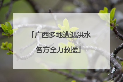 广西多地遭遇洪水 各方全力救援