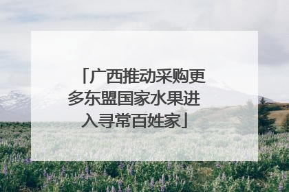 广西推动采购更多东盟国家水果进入寻常百姓家