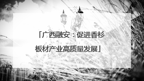 广西融安：促进香杉板材产业高质量发展