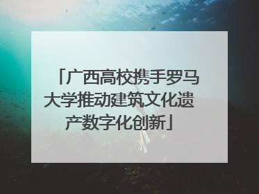 广西高校携手罗马大学推动建筑文化遗产数字化创新