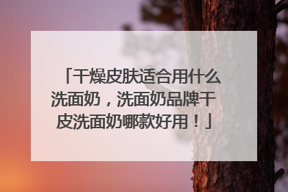干燥皮肤适合用什么洗面奶，洗面奶品牌干皮洗面奶哪款好用！