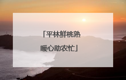 平林鲜桃熟 暖心助农忙