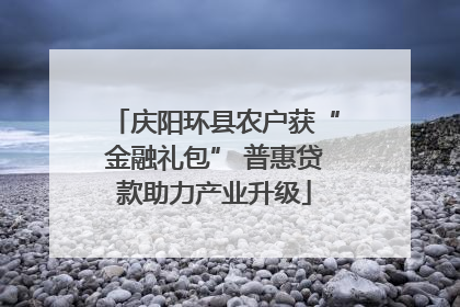 庆阳环县农户获“金融礼包” 普惠贷款助力产业升级