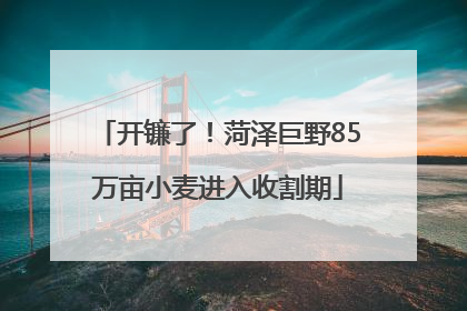 开镰了！菏泽巨野85万亩小麦进入收割期
